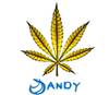 Sandy4life